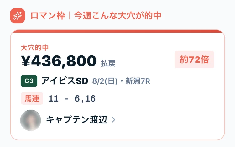 ロマン枠の大穴的中のピックアップ